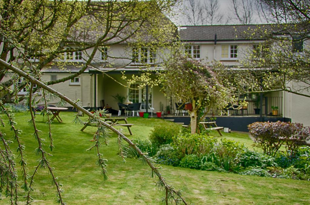 Tumbling Weir Hotel Ottery St Mary エクステリア 写真