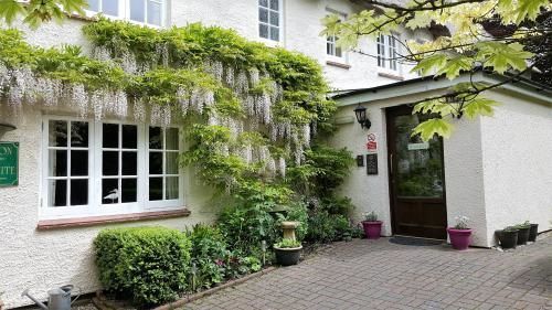 Tumbling Weir Hotel Ottery St Mary エクステリア 写真